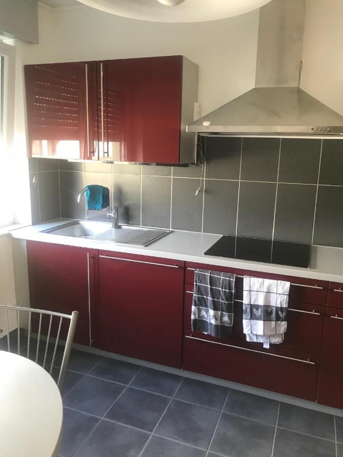 Appartement L'Oeil De Colmar Exteriör bild